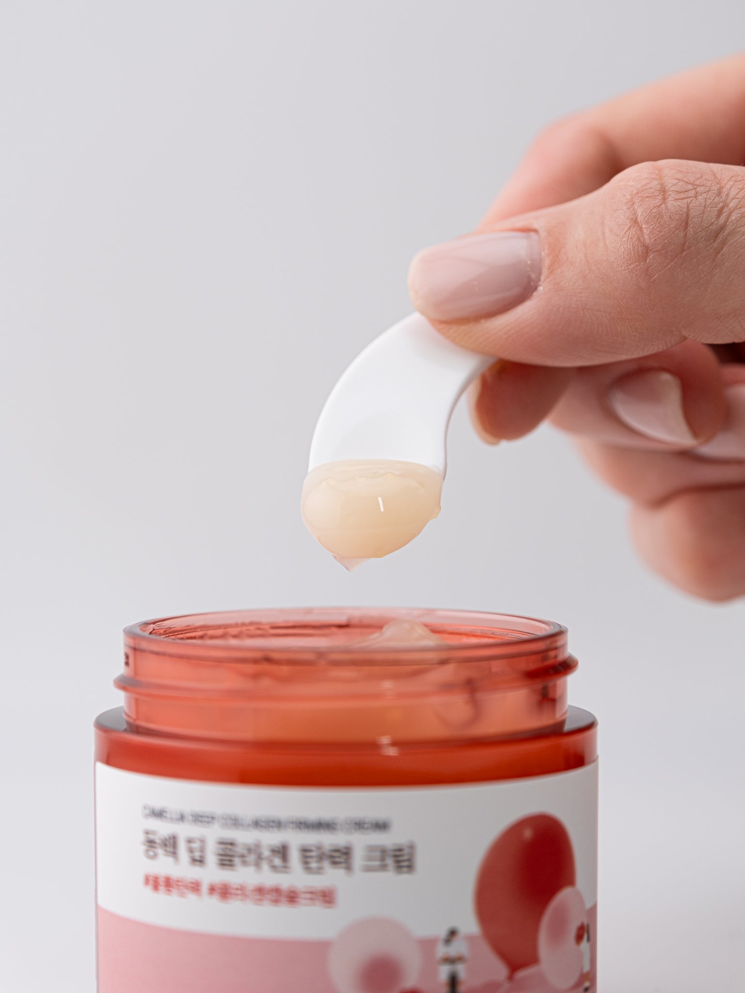 Hand holding a application tool with cream above a jar of Roundlab camellia deep collagen firming cream on white background on a light gray background